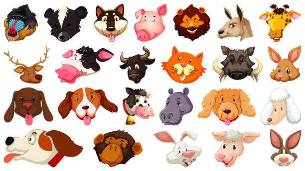istock Set of different cute cartoon animals head huge isolated on white background 1269271845