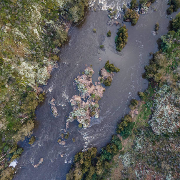 istock Murrumbidgee River vertical view flowing through Stony Creek Nature Reserve 1269275791