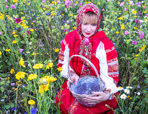 Young Caucasian woman holding a wicker basket. Traditional national clothes of Russia and Ukraine, a red sarafan and a shawl on the head. Against the background of meadows with wildflowers. Portrait.