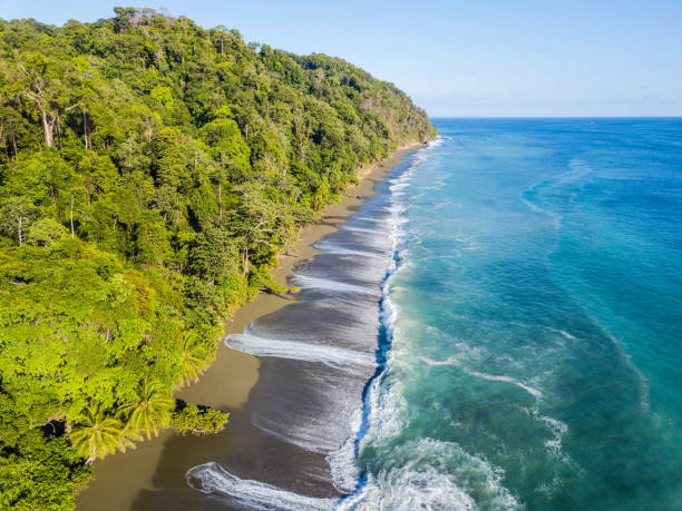 vista aerea: parco nazionale di corcovado, costa rica - tamarindo foto e immagini stock