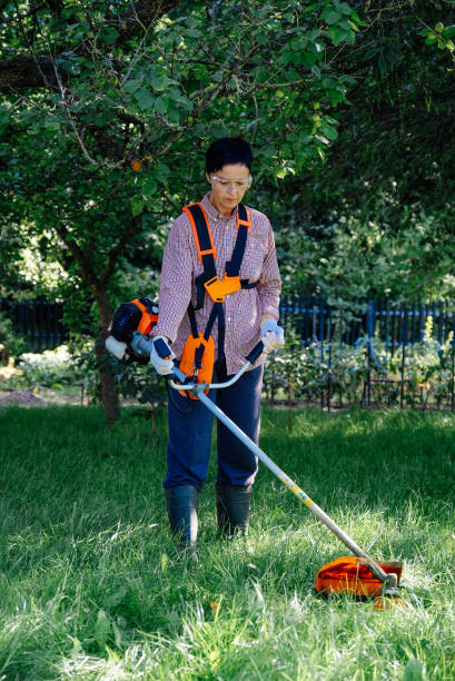 la donna adulta falcia l'erba nel cortile di casa usando il trimmer a corda. concetto di lavoro in giardino. - electric trimmer foto e immagini stock