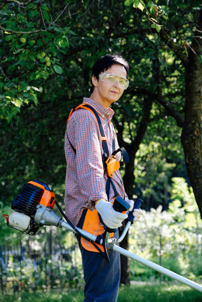 retrato de mujer jardinero cortando la hierba en el patio trasero usando recortador de cuerdas - hedge clippers weed trimmer grass lawn fotografías e imágenes de stock