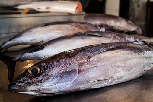 Tuna, fish market .Ortigia urban area. Syracuse Siracusa, Sicily Italy, summer season