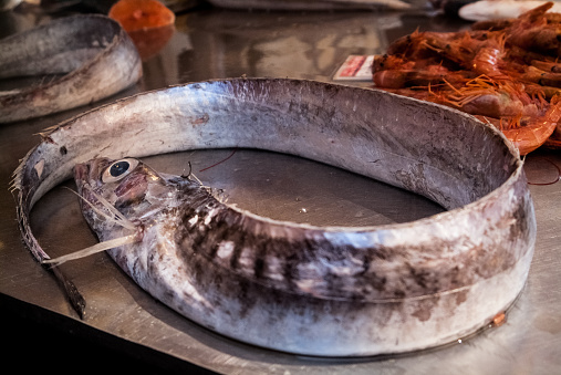 Pike at the fish market .Ortigia urban area. Syracuse Siracusa, Sicily Italy, summer season