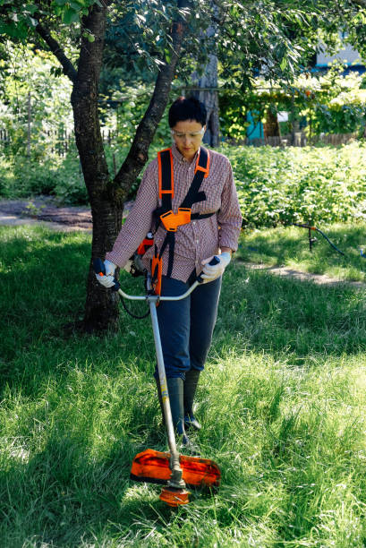 lavoratrice falciare prato con trimmer d'erba all'aperto in giardino. - electric trimmer foto e immagini stock