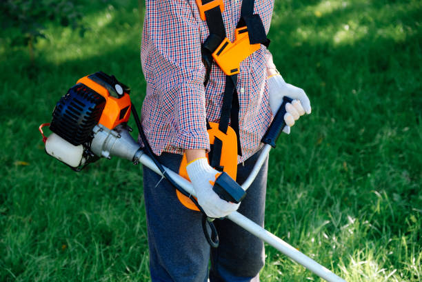 mani femminili che tengono trimmer a corda di benzina, vista ravvicinata. concetto di lavoro in giardino. - electric trimmer foto e immagini stock