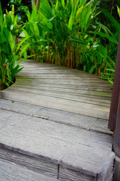 istock Wooden footpathin garden 1269308460