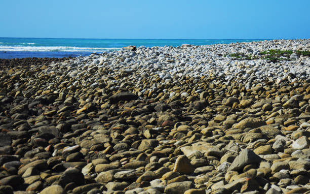 istock Rocky Shores 1269313224