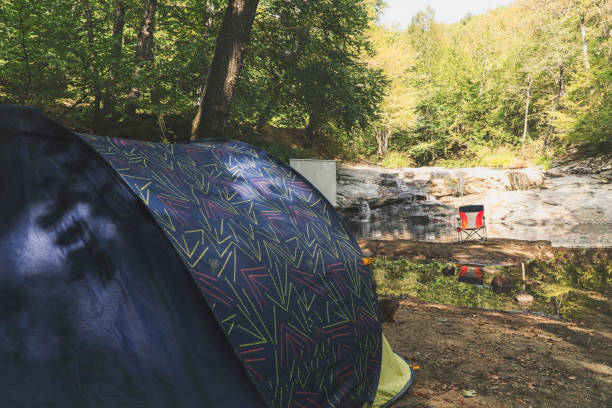 istock Camping tent at the forest 1269313826