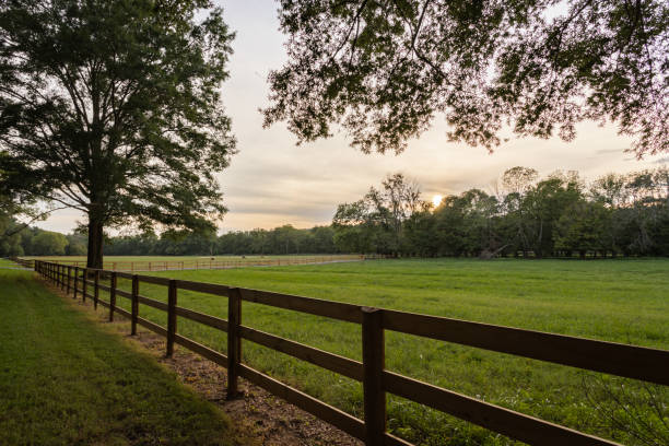 istock Sunset at the Pasture 1269314025