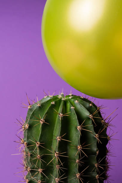 istock Yellow balloon flying too close to cactus 1269314054