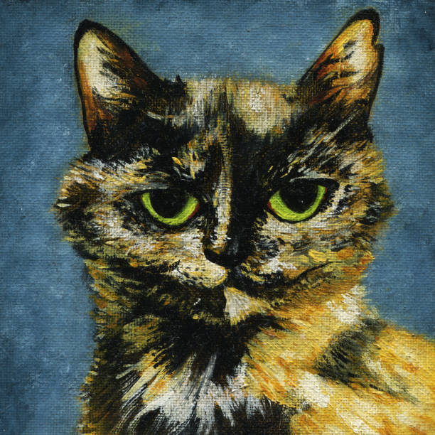 istock The head of a sad homeless cat 1269314107