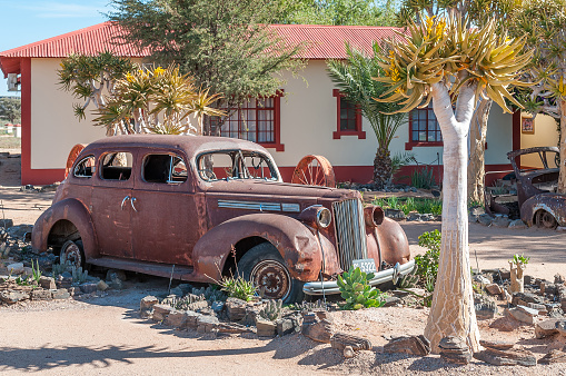 Fish River Canyon, Namibia - June 17, 2011: A vintage car between quiver trees at the Canyon Roadhouse near Hobas