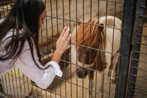 Pony Loving Woman