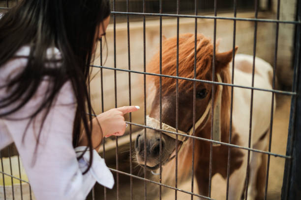 Pony Loving Woman