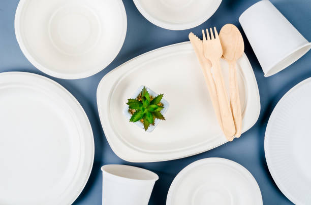 Nature kitchenware made from bagasse for food