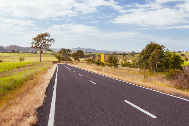 istock Winding Australian Road Near Bega 1269322339