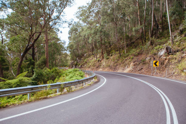istock Winding Australian Road near Bega 1269322353