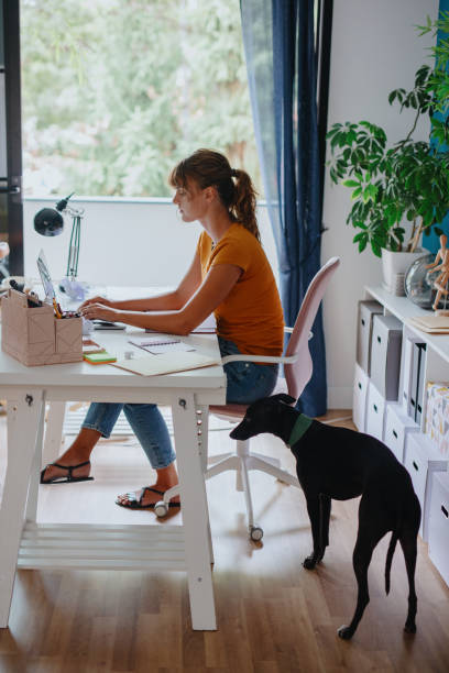 istock Young woman sitting at home using laptop and studying 1269322455