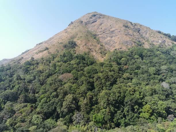 Nelliyampathy Hills, Palakkad, Kerala, India