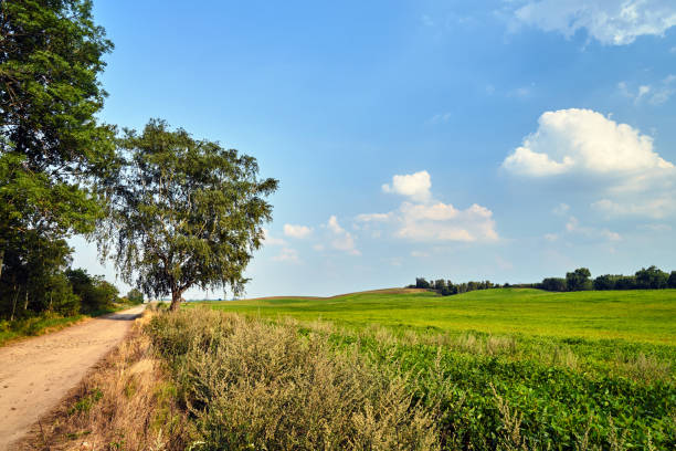 istock rural landscape with a gravel road between arable fields after the harvest 1269324794