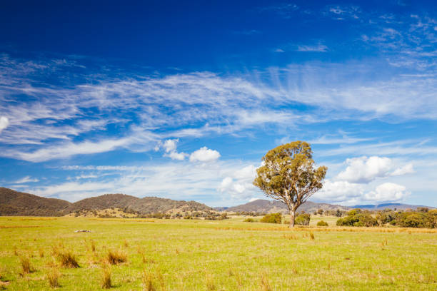 istock Allans Flat Landscape Australia 1269325198