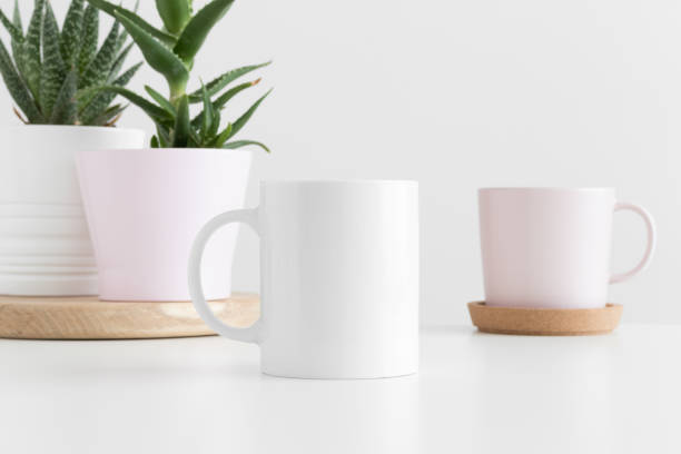 istock White mug mockup with various types of succulent plants on a white table. 1269329585