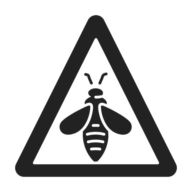 istock Biodiversity loss black glyph icon. Extinction animal species. Isolated vector element. Outline pictogram for web page, mobile app, promo. Vector illustration. 1269334275