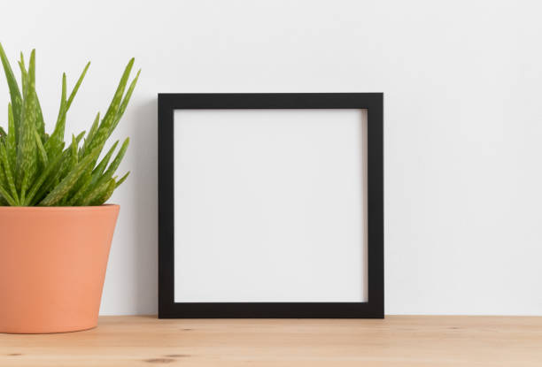 istock Black square frame mockup with a aloe vera in a ceramic pot on a wooden table. 1269335485