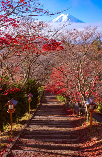 秋の富士山への道、江倉仙原神社、富士吉田、日本 - fuji mt fuji yamanashi prefecture japanese fall foliage ストックフォトと画像