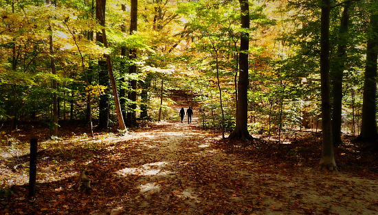 Two people out for a walk through an Ohio woods in the fall.