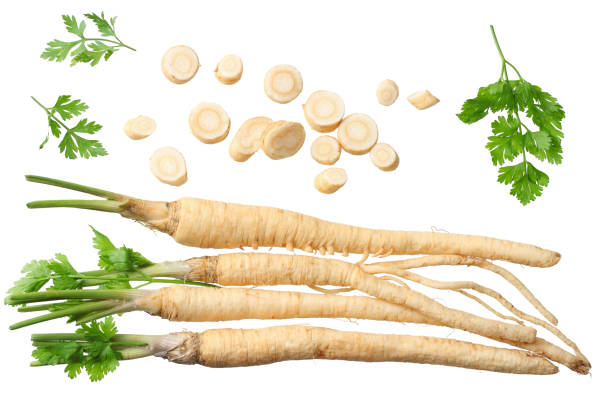 fresh parsley root isolated on white background. top view fresh parsley root isolated on white background. top view Relish stock pictures, royalty-free photos & images
