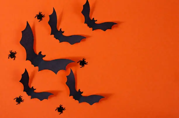Photo of Halloween decor with spiders and black paper bats flying over orange background