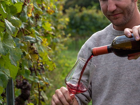 Young man pouring red wine in glass while in vineyard in Autumn