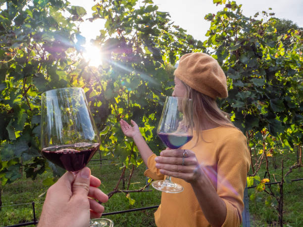istock Young couple tasting wine in vineyard in Autumn 1269348888