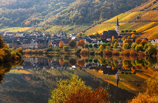 Bremm town and Vineyards in Mosel wine valley at autumn