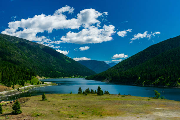 istock Earthquake Lake, Montana 1269353564