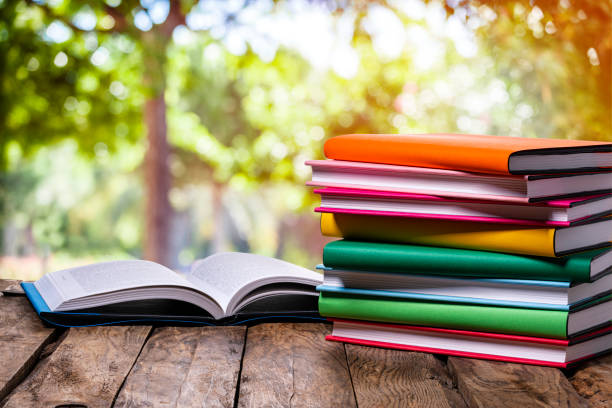 Front view of rainbow colored books stack shot on rustic wooden table against defocused rural scene. The composition is at the right of an horizontal frame leaving useful copy space for text and/or logo at the left. High resolution 42Mp studio digital capture taken with SONY A7rII and Zeiss Batis 40mm F2.0 CF lens