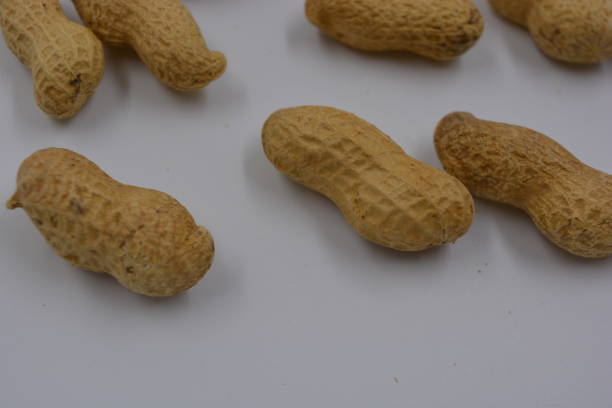 istock Natural peanuts in their own brown shell are located on a white background. 1269356666