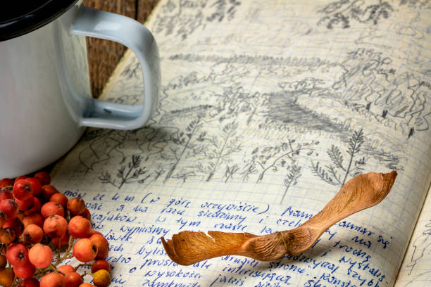 istock vintage expedition journal on a picnic table 1269356989