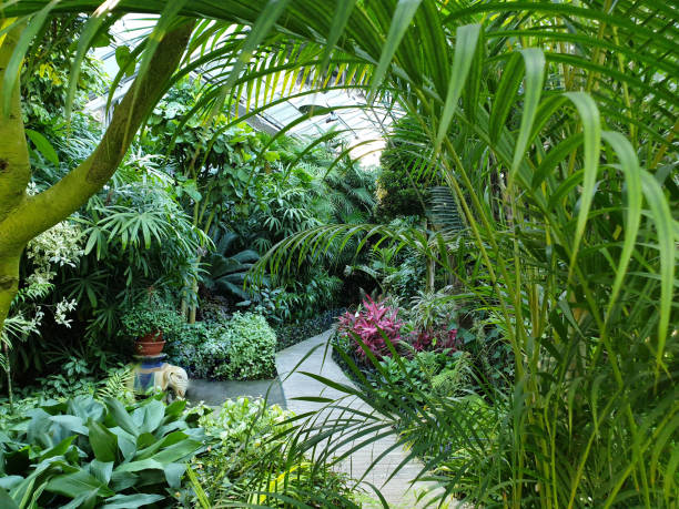 istock Korea indoor arboretum walkway background 1269357060