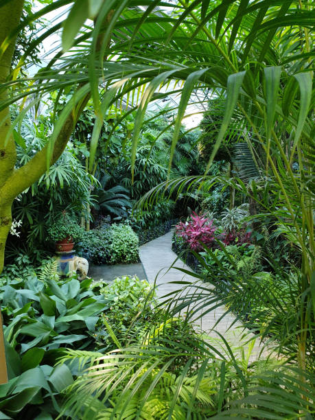 istock Korea indoor arboretum walkway background 1269357082