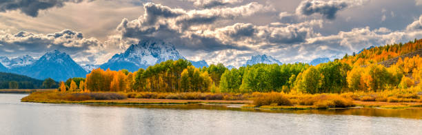 jesienny spacer po parku - teton valley zdjęcia i obrazy z banku zdjęć