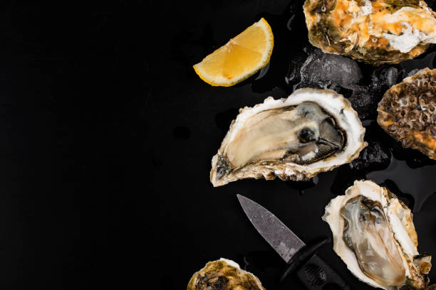 istock Opened oysters, ice and lemon on a black background. 1269361293
