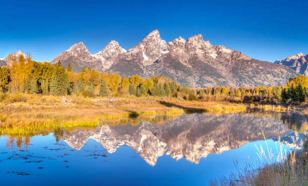 istock The fall air tastes like magic 1269361360