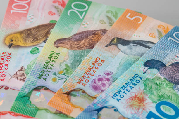 Various Banknotes of New Zealand. Party with a bird. Various Banknotes of New Zealand. Party with a bird. Spread out in a fan new zealand dollar photos stock pictures, royalty-free photos & images
