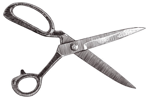 ilustrações de stock, clip art, desenhos animados e ícones de vector drawing of scissors - sewing item