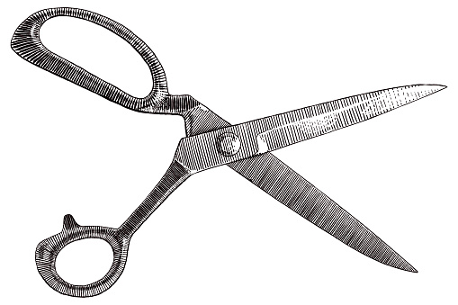 Engraving style drawing of old tailor's scissors