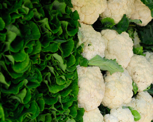istock Fresh Fruits & Vegetables 1269366651