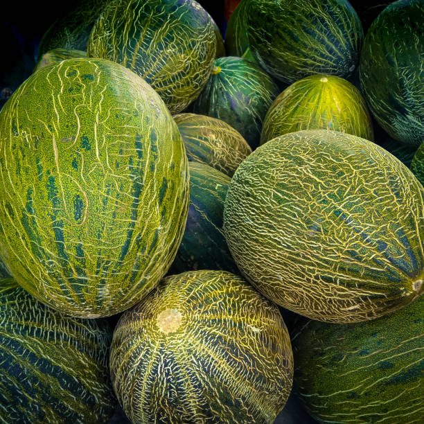 istock heap of melons 1269369299